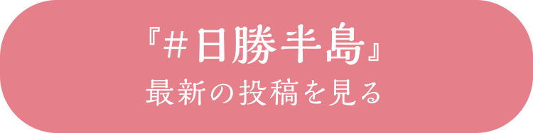 『#日勝半島』最新の投稿を見る